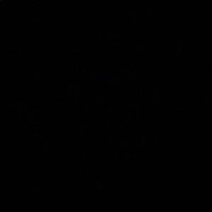 Meet your Posher, Ahmad